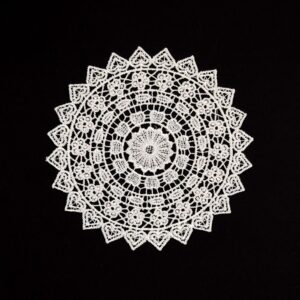 5.5 Inch Geometric Embroidered Lace Coaster (10 Pack) - Elegant Round Dining & Tea Table Mat Doily, Rose Style