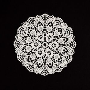 5.5 Inch Geometric Embroidered Lace Coaster (10 Pack) - Elegant Round Dining & Tea Table Mat Doily, Floral Shadow Style