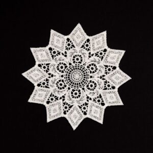 5.5 Inch Geometric Embroidered Lace Coaster (10 Pack) - Elegant Round Dining & Tea Table Mat Doily, Chestnut Leaf Style
